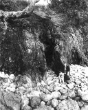 Entrance to the main adit at Oukori Bay, July 1996